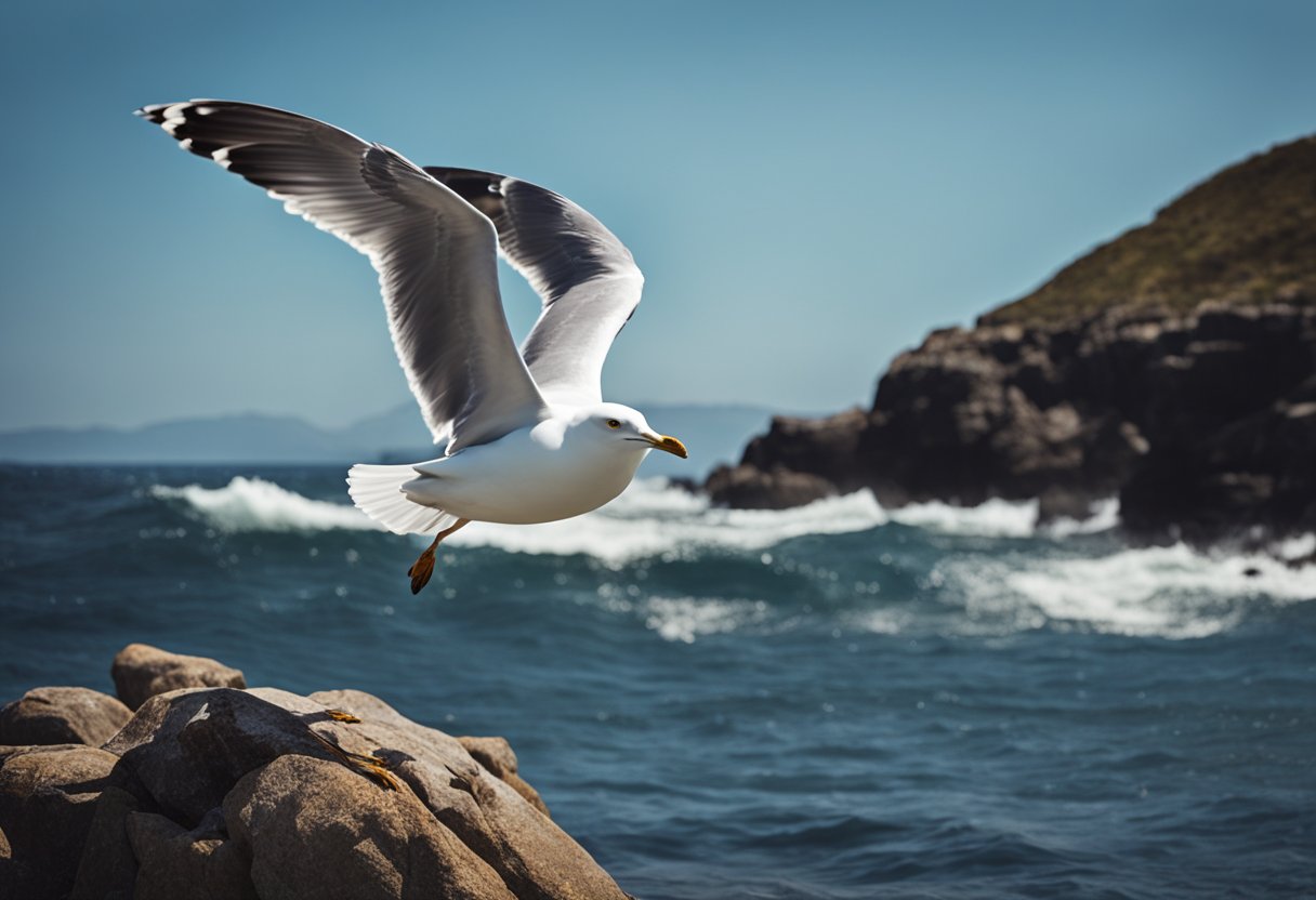 v2 41zm0 t0n1m Opskrift på Seagull Sjal: Strik dit eget sjal med dette nemme mønster