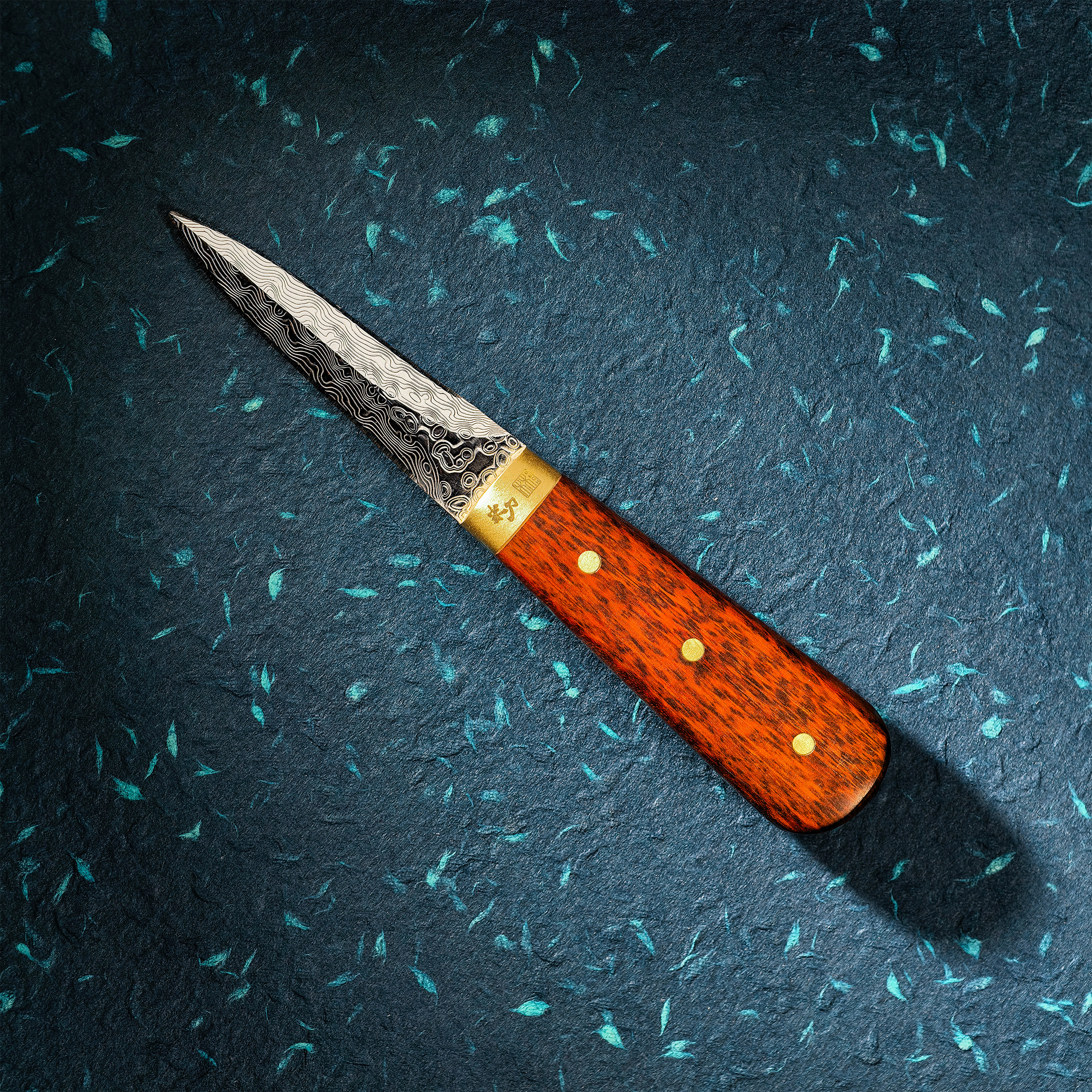 Østerskniv i damaskusstål med håndtag i snakewood